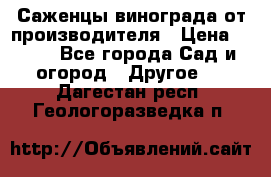 Саженцы винограда от производителя › Цена ­ 800 - Все города Сад и огород » Другое   . Дагестан респ.,Геологоразведка п.